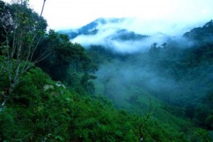 EL DESARROLLO SOSTENIBLE NECESITA MÁS QUE LA ECONOMÍA VERDE: MINISTRA ECUATORIANA