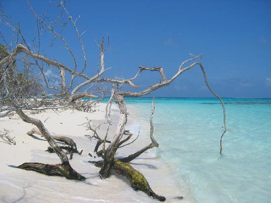 VUELVEN POTABLE EL AGUA DE MAR A MENOR COSTO