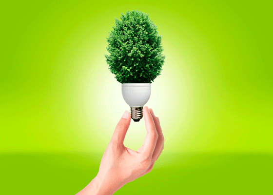 CONSEJOS DIVERTIDOS PARA CUIDAR EL MEDIO AMBIENTE