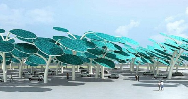 LOS BOSQUES SERÁN SOLARES Y CARGARÁN TU AUTOMÓVIL