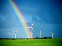 LA EÓLICA GENERÓ EL 46 POR CIENTO DE LA PRODUCCIÓN DE LAS ENERGÍAS RENOVABLES