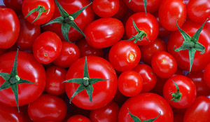 PUEDEN LOS TOMATES CULTIVADOS CON ILUMINACIÓN LED PRODUCIR MAS VITAMINA C?? SI, MIRA COMO