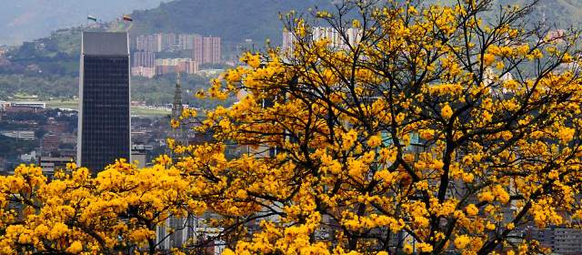 MEDELLÍN RECIBIÓ LA MÁS ALTA VOTACIÓN COMO CIUDAD SOSTENIBLE DEL PLANETA