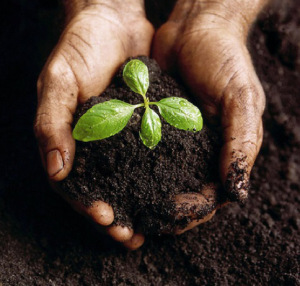 PARQUES EN COLOMBIA APUESTAN POR ENERGÍA SOLAR Y SOSTENIBILIDAD