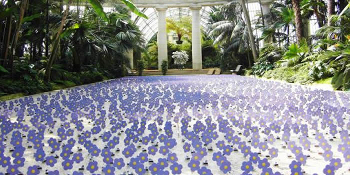 FLORES SOLARES DANZANTES, UNA UNIÓN ENTRE ARTE E INGENIERÍA