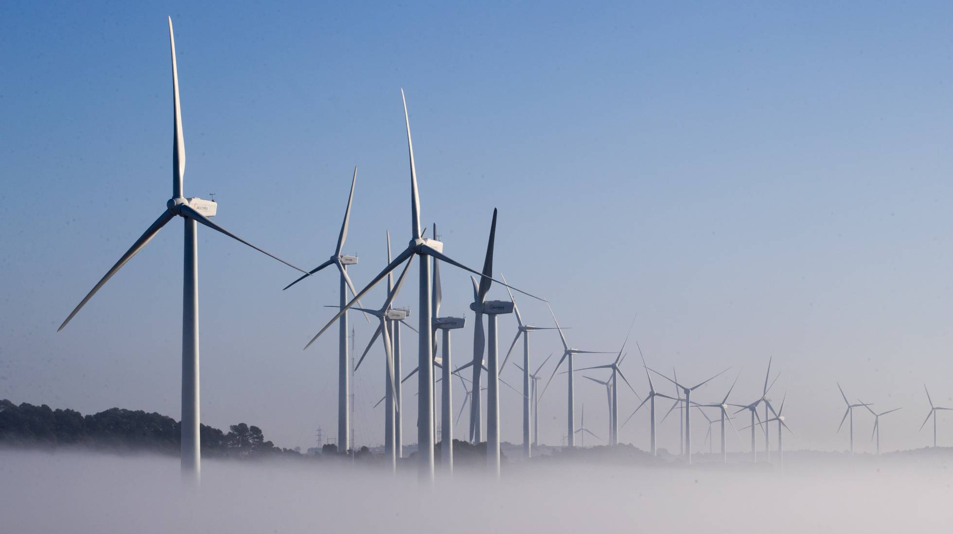 Forestalia se adjudica el mayor paquete en la subasta de renovables