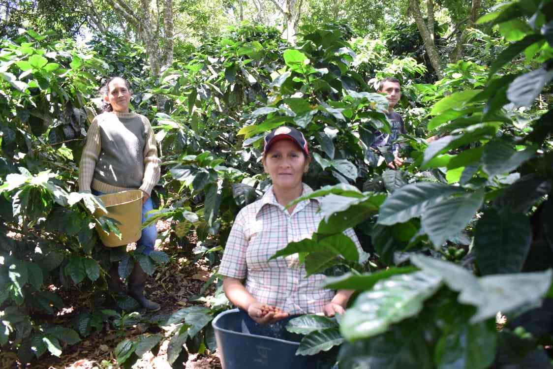 Dos millones de dólares para proyectos ambientales en Caquetá, Putumayo y Nariño