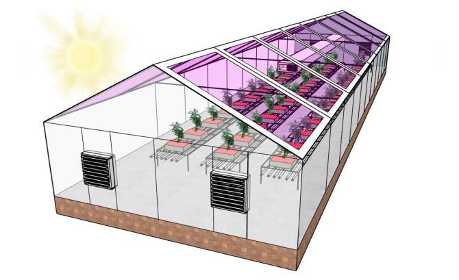 Los futuros invernaderos estarán completamente alimentados por energía solar
