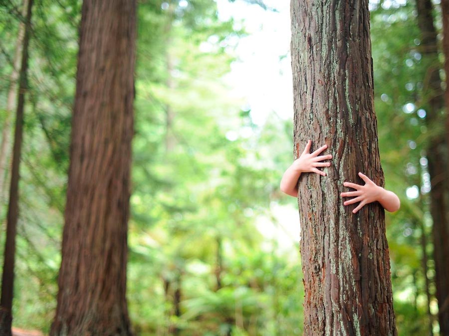 Calculadora de huella de CO2 tendrá su versión en español y portugués para América Latina