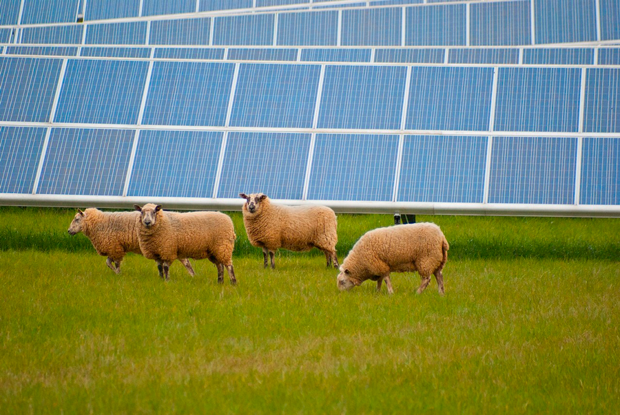 La capacidad fotovoltaica del Reino Unido debe triplicarse para alcanzar el objetivo de 2030