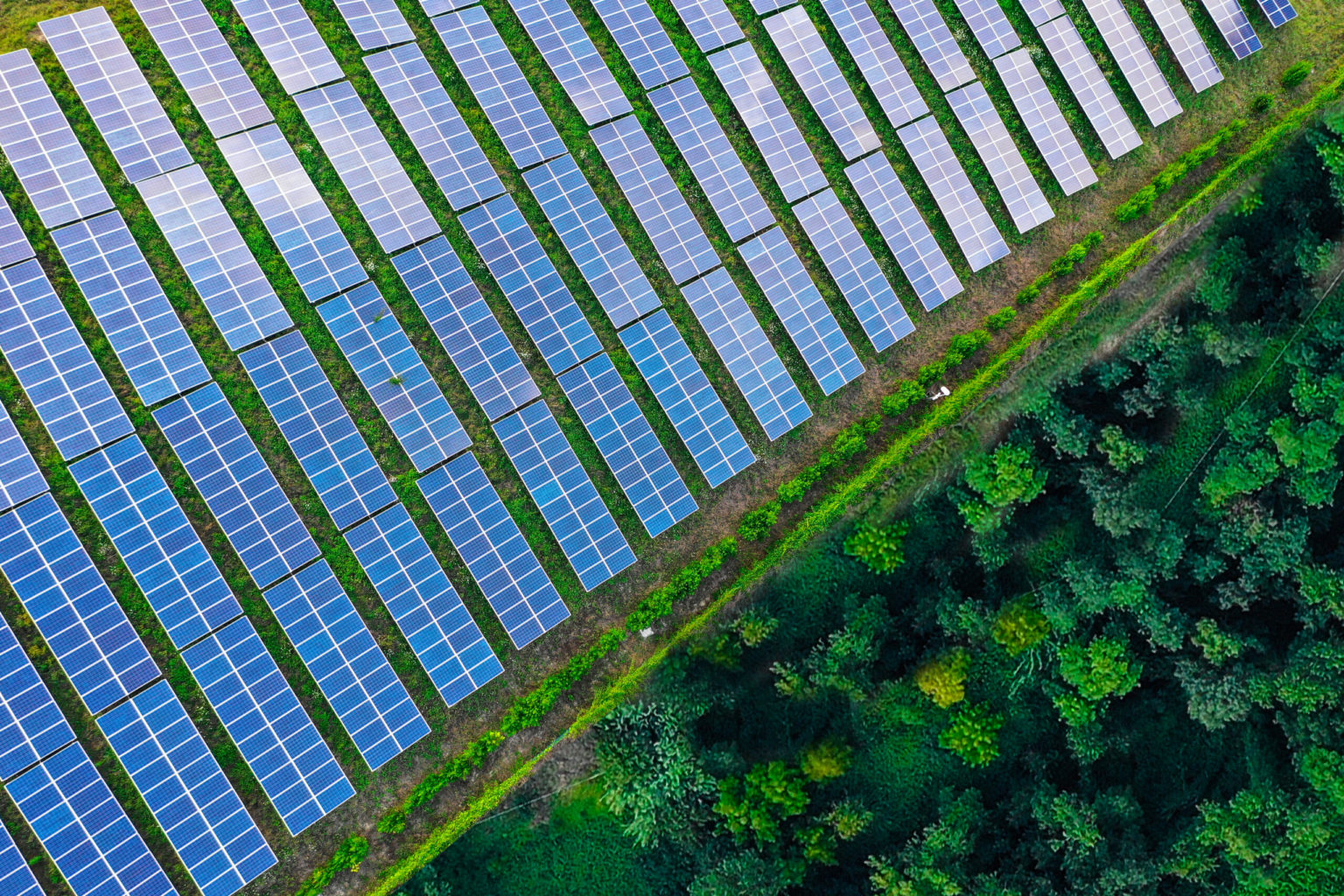 Nueva alianza para que las renovables alcancen el 70% del mix de América Latina y el Caribe en 2030