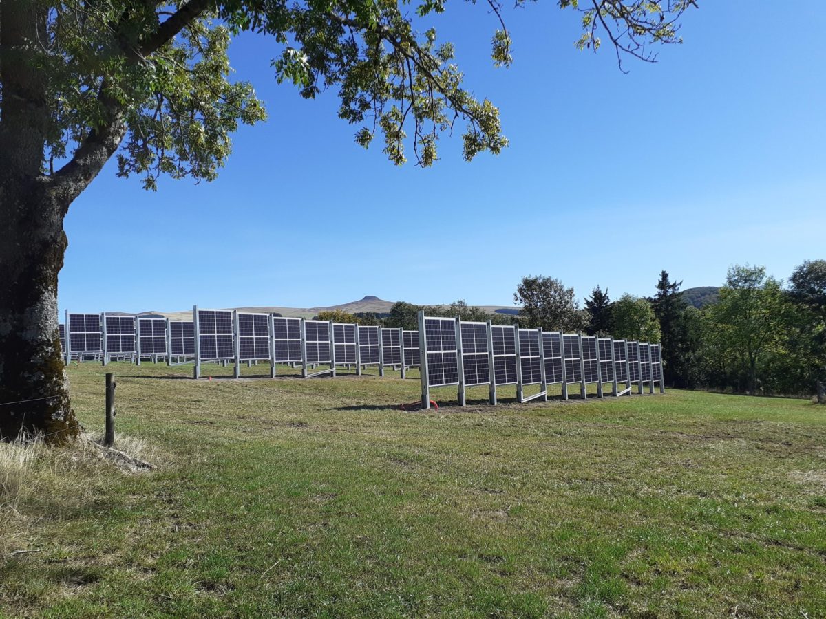 Impacto de la energía fotovoltaica vertical en los pastizales