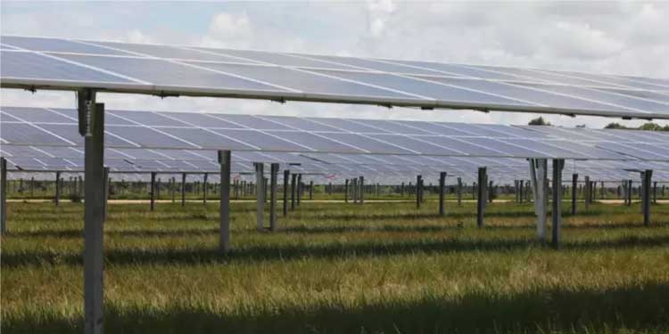 Inversiones del futuro: cualquier persona podrá invertir en diversos proyectos en energía solar