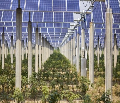 La agrivoltaica reduce hasta un 31 por ciento la evaporación del agua en los cultivos