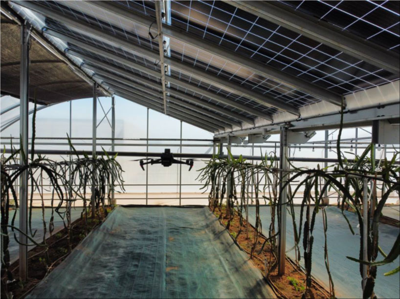 Nuevos modelos matemáticos para optimizar y personalizar el rendimiento eléctrico y de cultivos agrovoltaicos