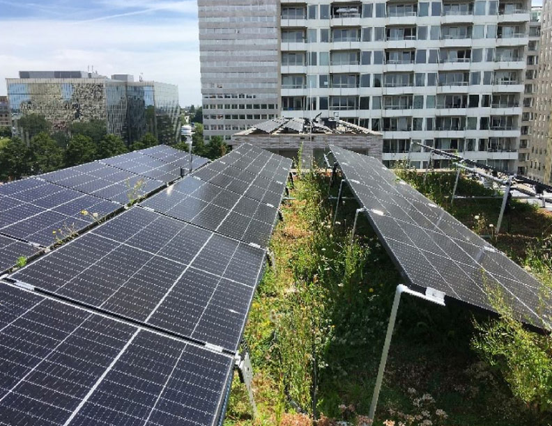 Los techos con vegetación bien regados tienen un efecto refrescante en los sistemas fotovoltaicos