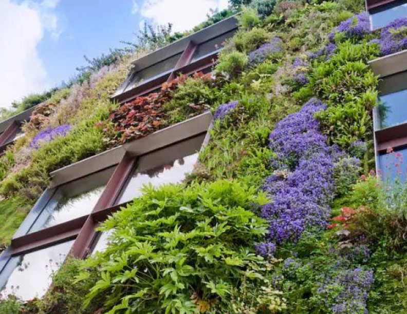 Construcciones sostenibles: Una alternativa ante el cambio climático