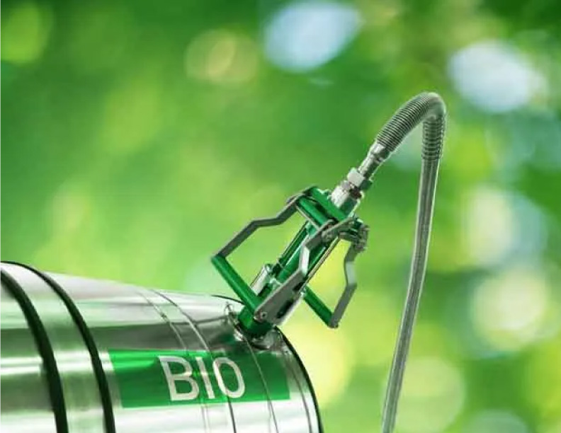 ¿Producir biocombustibles de manera eficiente en el desierto? los  EAU y los HALÓFITOS lo hacen posible