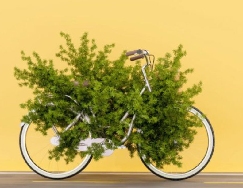 Tecnologías para la descarbonización