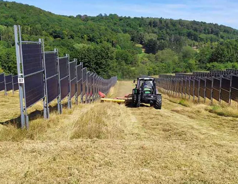 Los paneles solares verticales de doble cara, la nueva solución en auge para impulsar la energía agrovoltaica en el campo