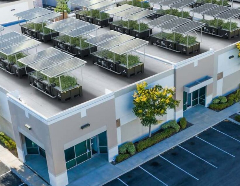 Adiós a los tejados vacíos: este invento te crea un huerto que da energía a tu casa y aprovecha la lluvia