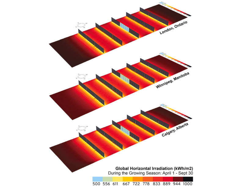 ¿Qué cultivos encajan con la agrovoltaica vertical?