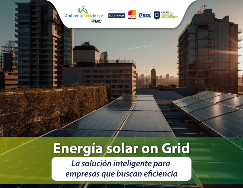 Energía solar on Grid: La solución inteligente para empresas que buscan eficiencia